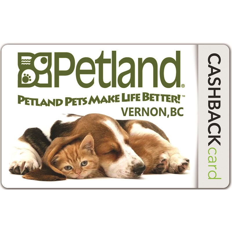Plastic Card with Integrated Hanger, Economy 2