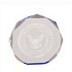 5" Blue Octagon Acrylic Award 1