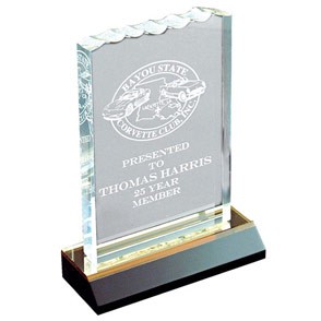 Ice Top Reflection Award (4"x6") 1