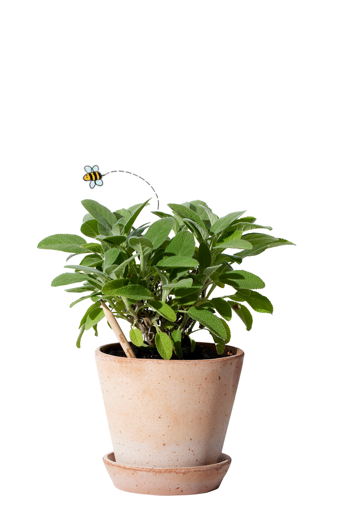 SproutWorld™ Pencil 79