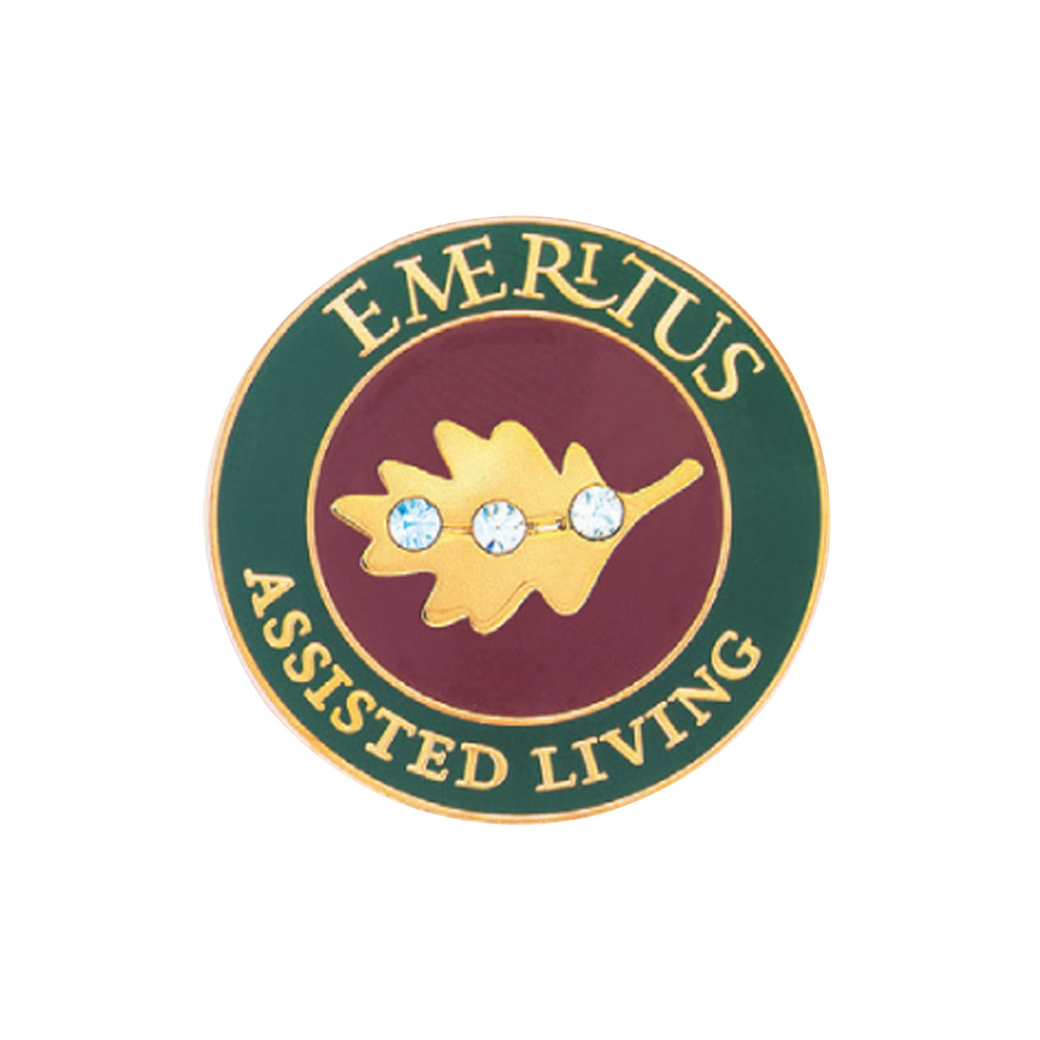 Vip Lapel Pins - Die Struck 1