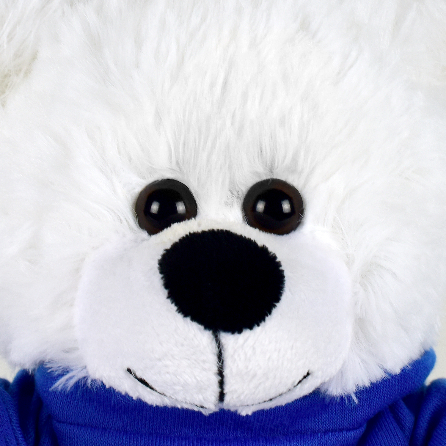 Plush Bear w/ Embroidered Paws and Hoodie 20
