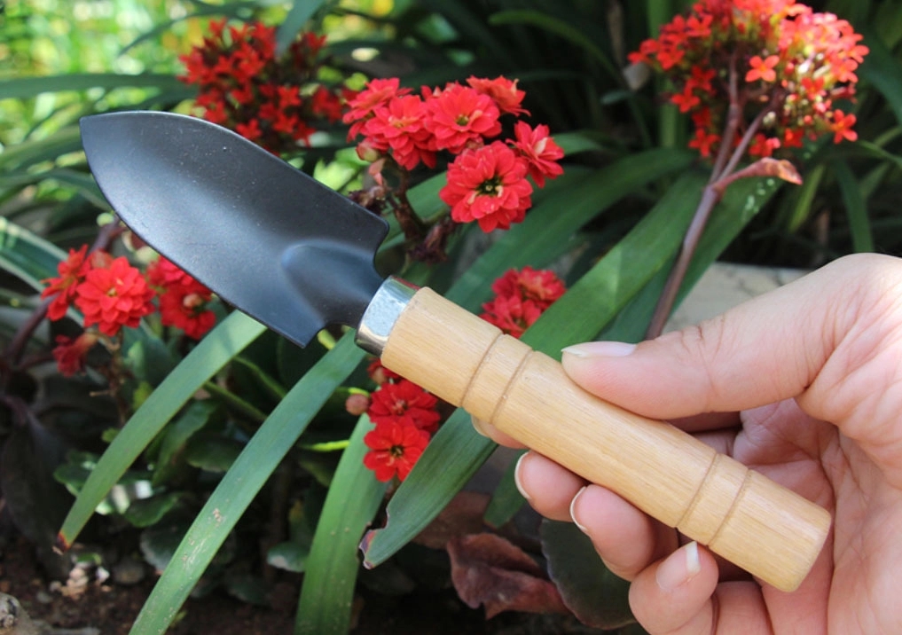 Mini 3 pcs Gardening Tool Set Shovel Rake 2