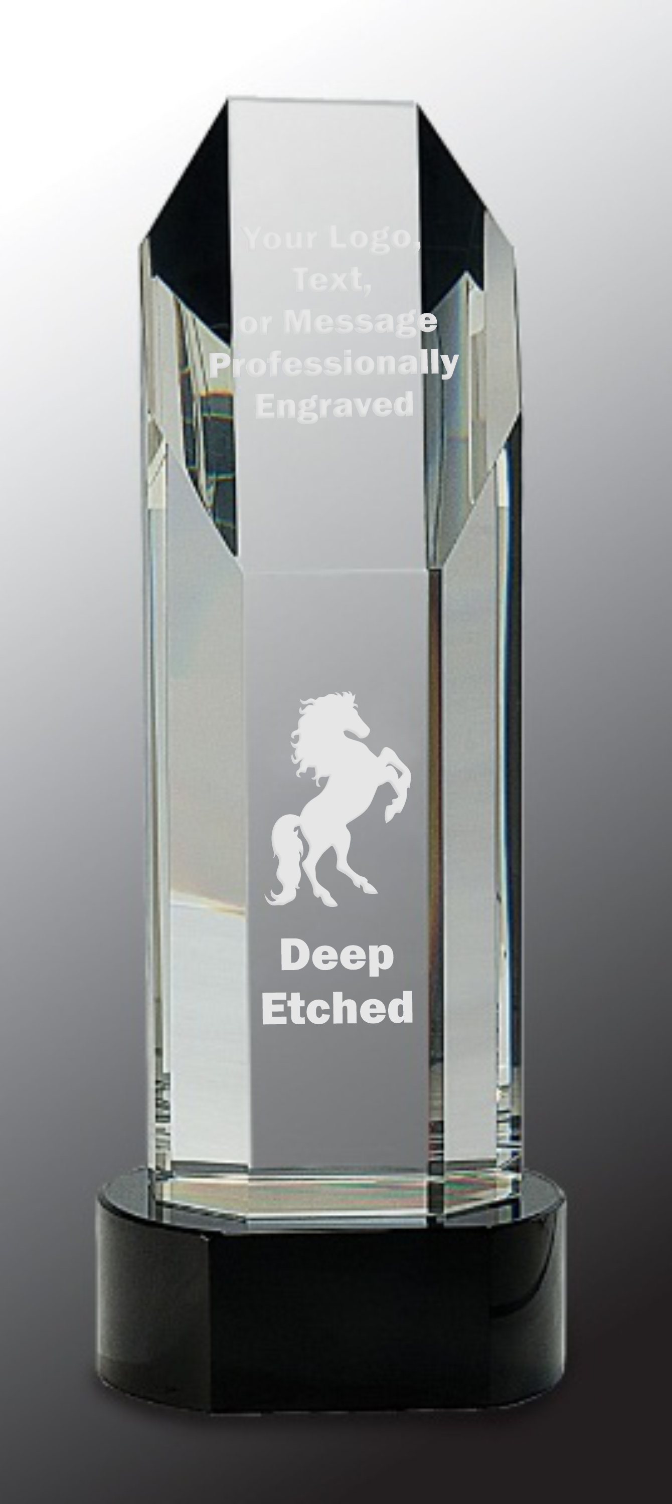 10 3/4" Octagon Slant-Top Crystal on Black Pedestal Base Crystal Award