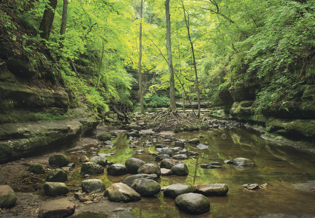 HotLine® Products Our Beautiful America® Executive Calendar 4