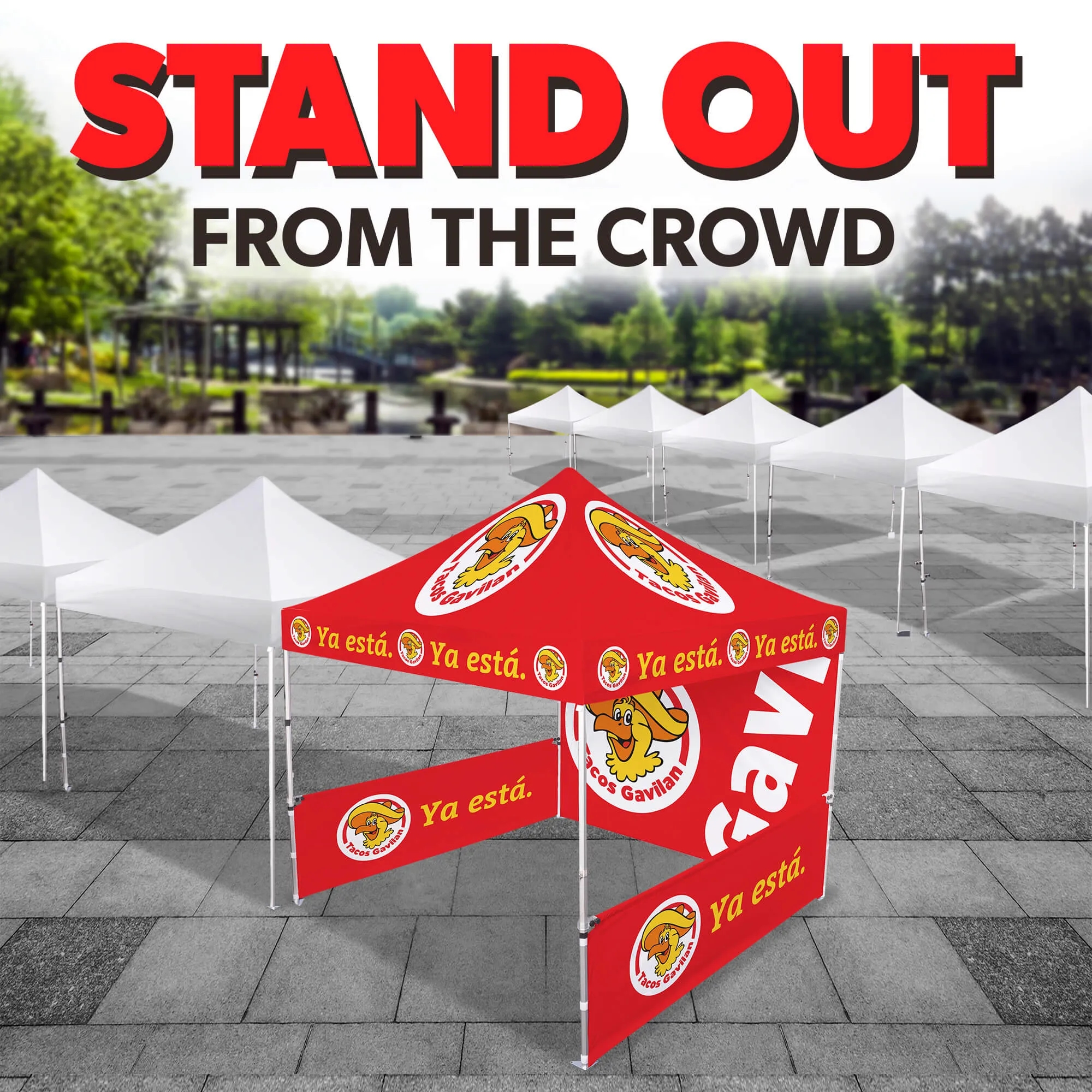 10ft x 10ft Custom Canopy Tent - Everyday Gold Package 7