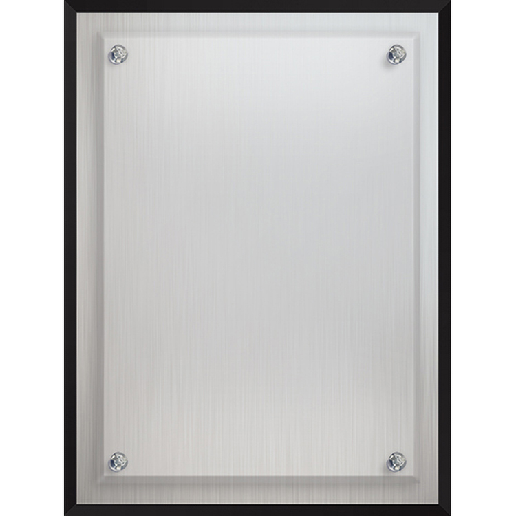 Econo Series Frosted Aluminum Plaque (6"x 8") (PhotoImage) 3