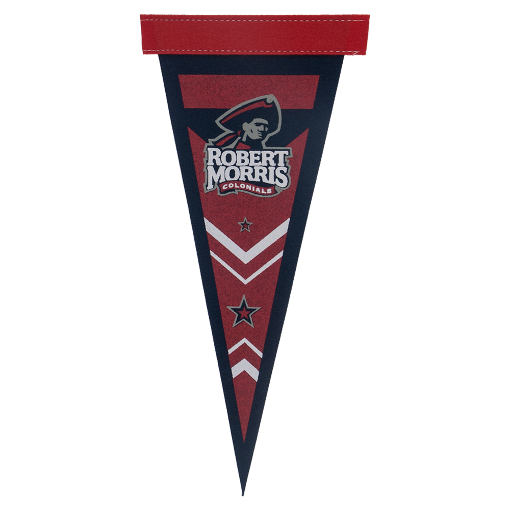 5" x 12" Colored Felt Pennant 2