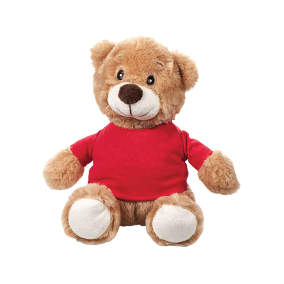 Chester the Teddy Bear (with T-Shirt) 19