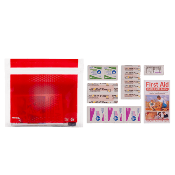 Basic First Aid Kit in a Resealable Plastic Bag 16