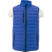 Men's Whistler Light Down Vest 61