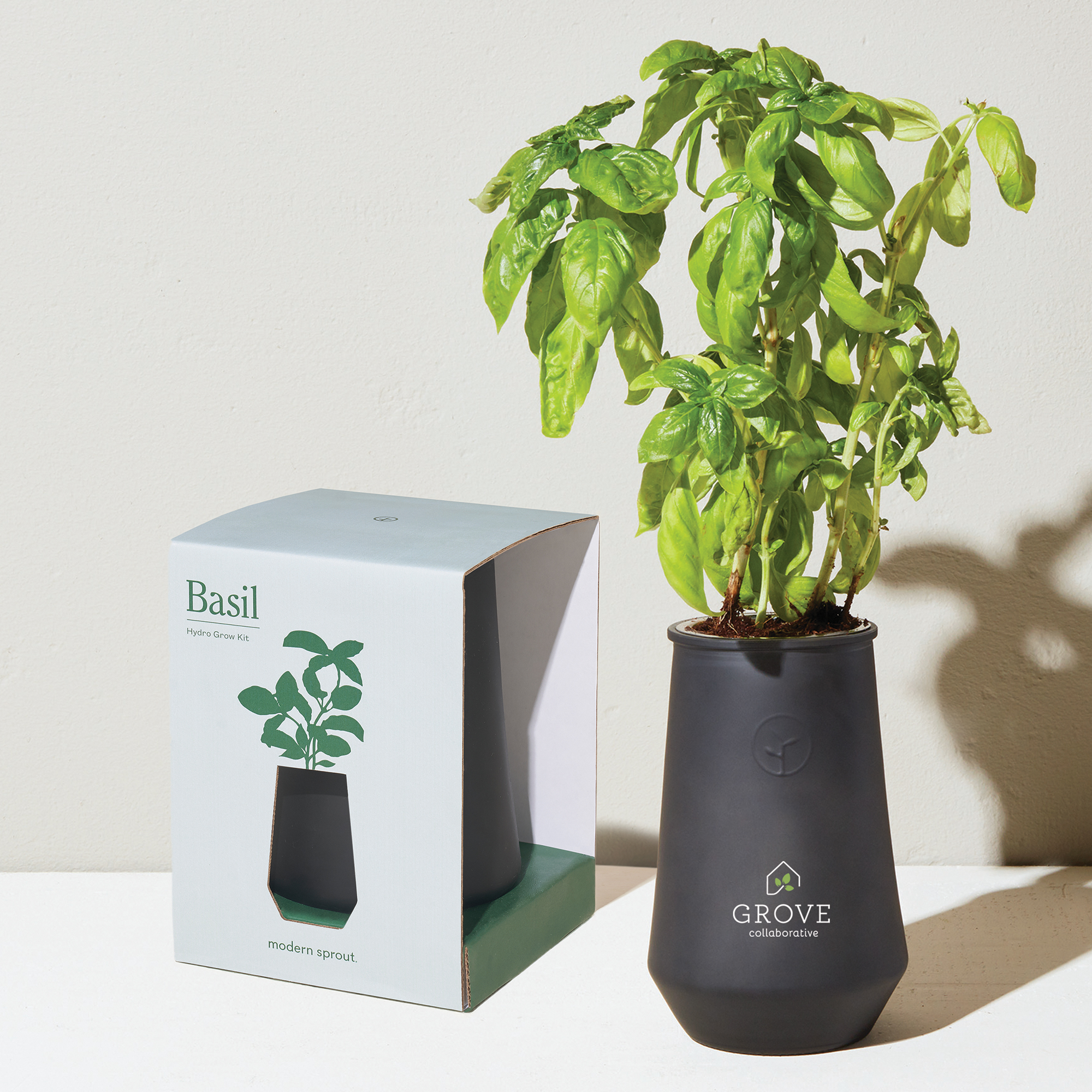 Modern Sprout® Tapered Tumbler Grow Kit 8