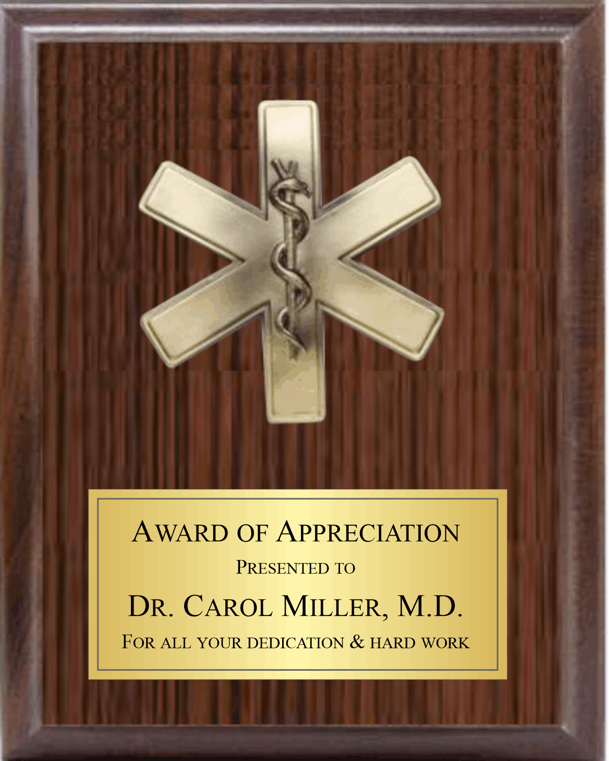 5" Star Of Life On Plaque 4