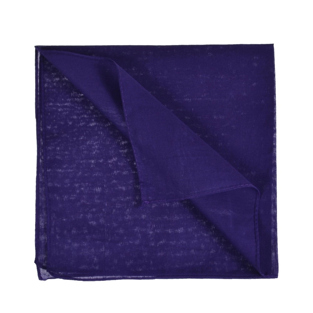 Standard Square Bandana 2