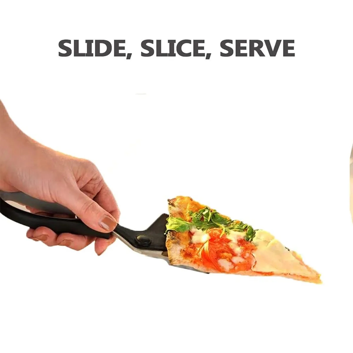 Stainless Steel Pizza Scissors Cutter 3