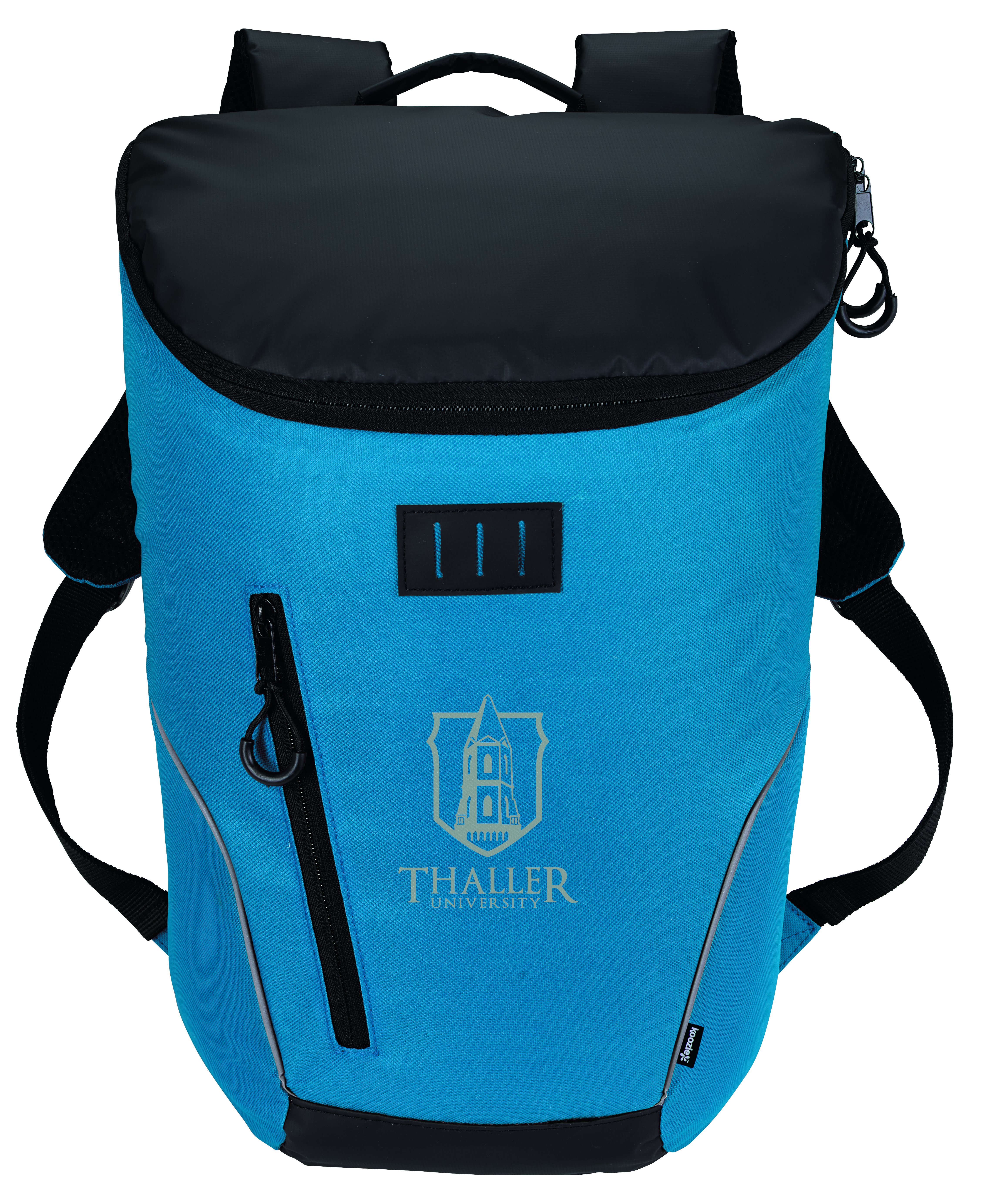 Rogue Cooler Backpack