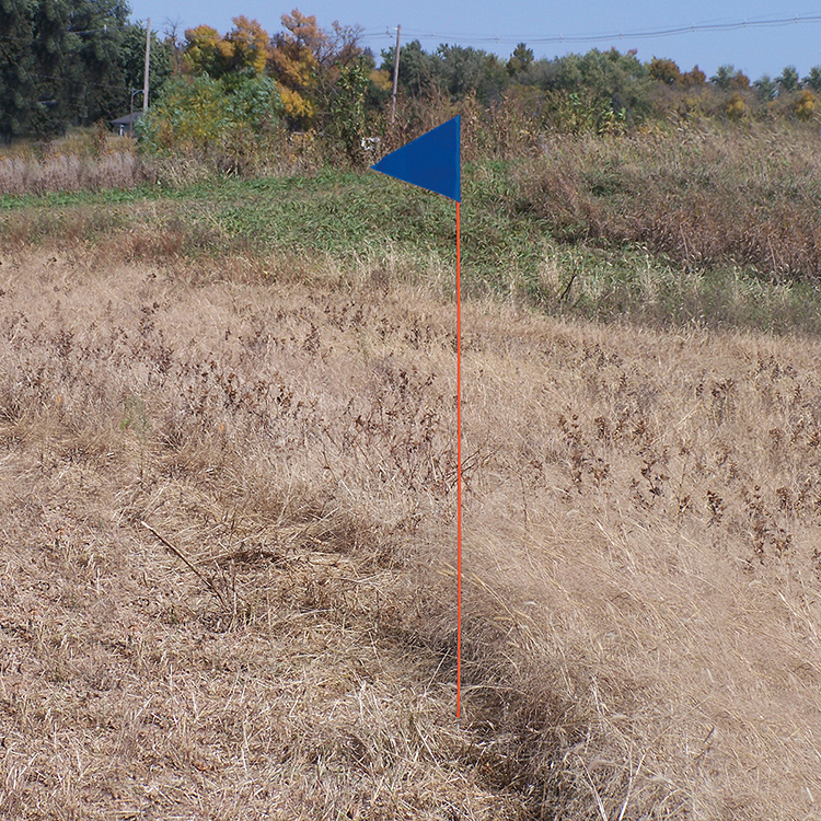 Solid Color Blue Pennant Field Flag w/Orange Staff 4