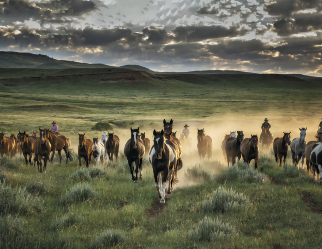 Triumph® Calendars Visions of the West Calendar 73