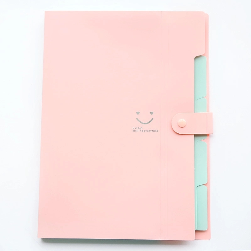 Expanding File Folder 5 Pockets 4