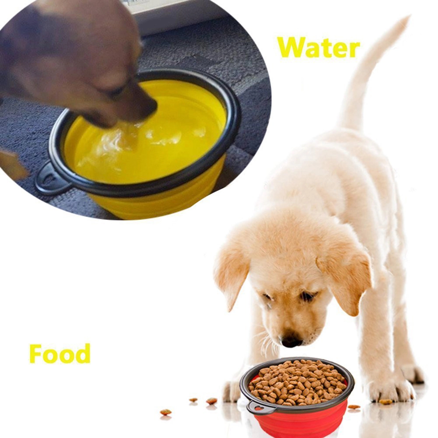 Portable Pet Bow 6