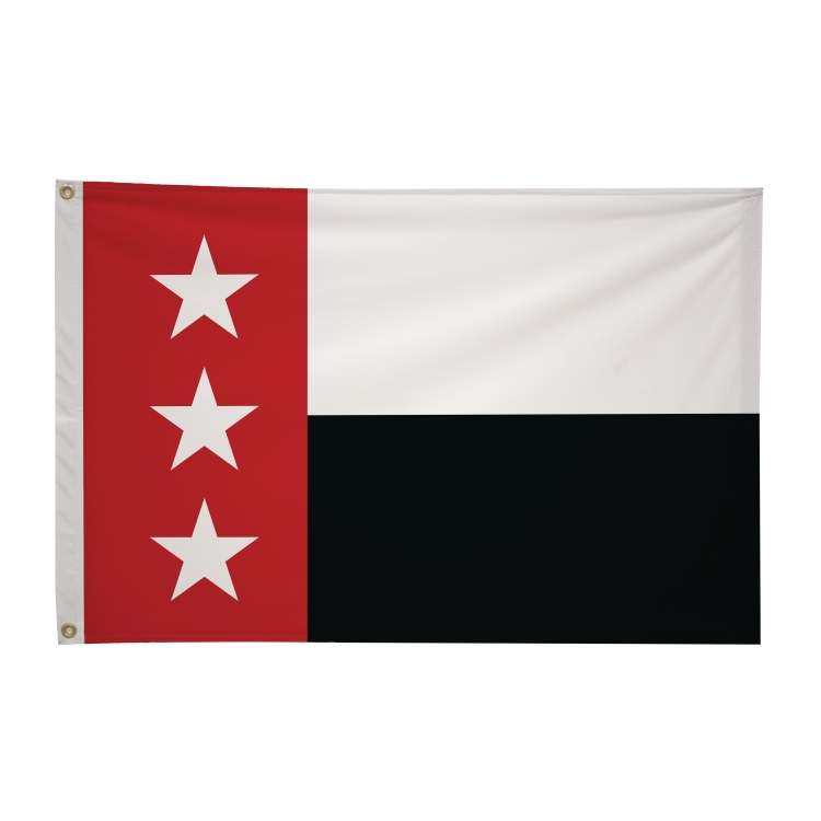 2' x 3' City Flags 49