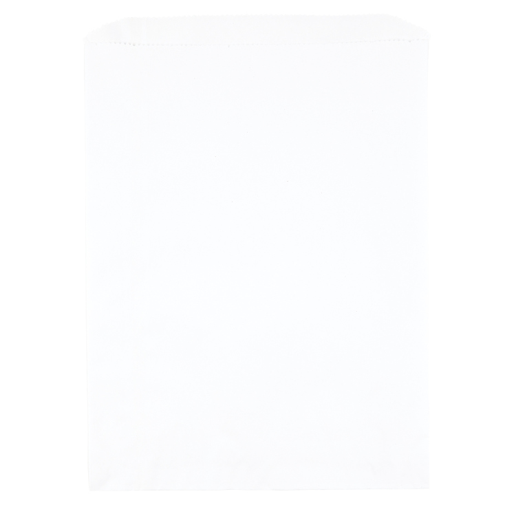 10W x 13H Merchandise Bag - Flexo Ink Print 1