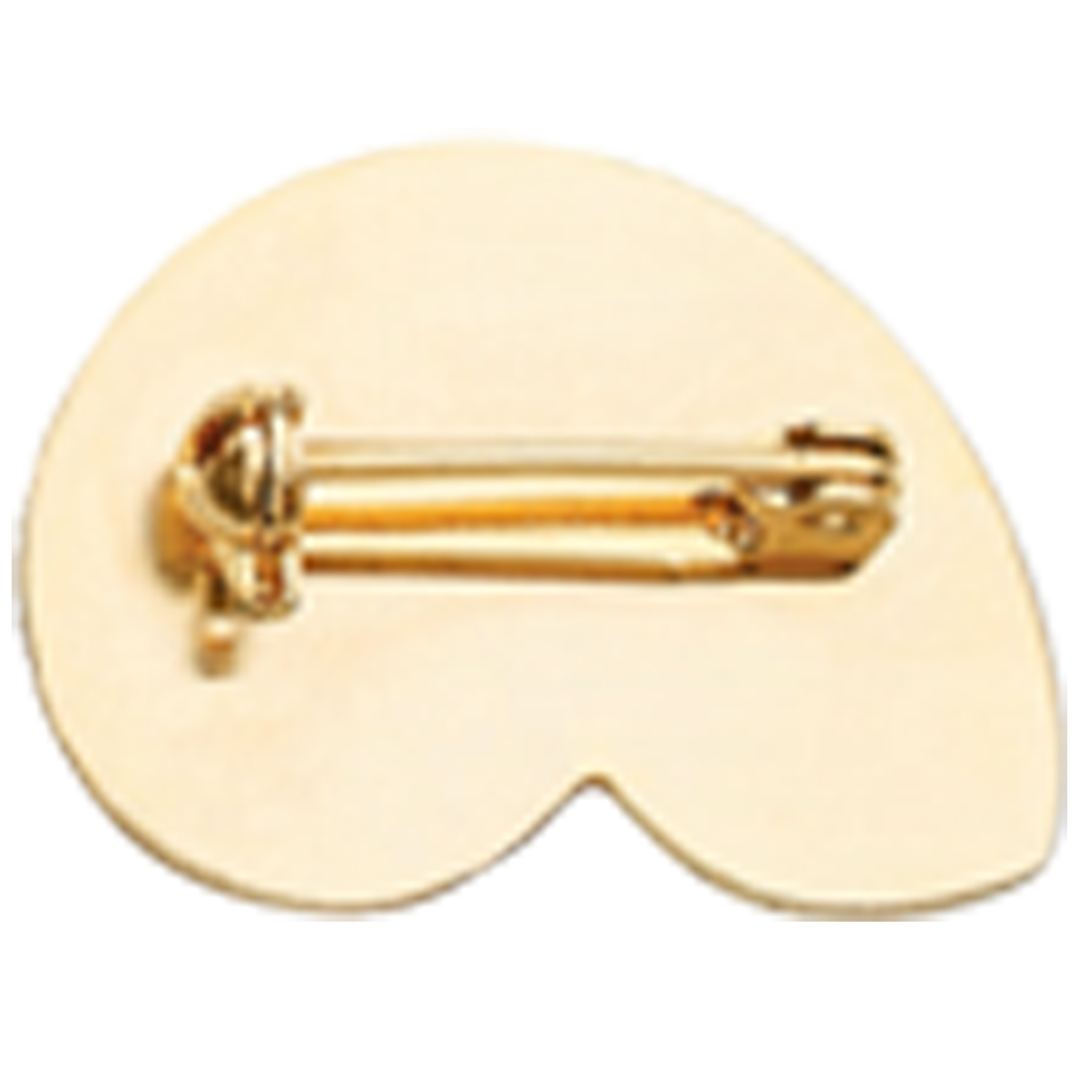 Safety Pin 2