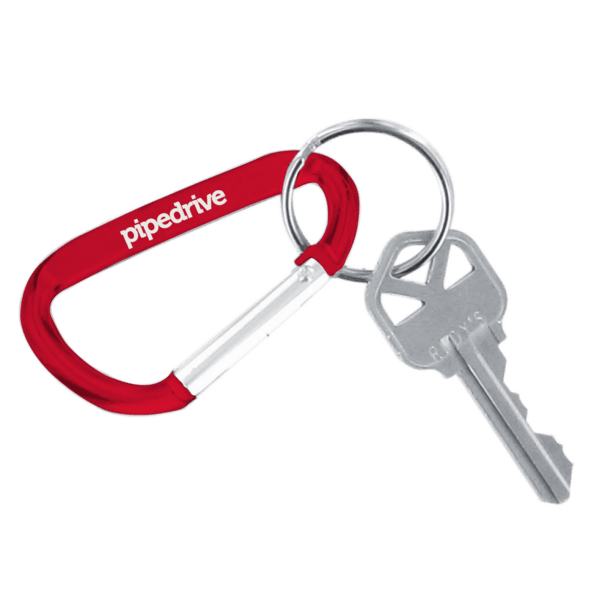 Carabiner Keychain 16
