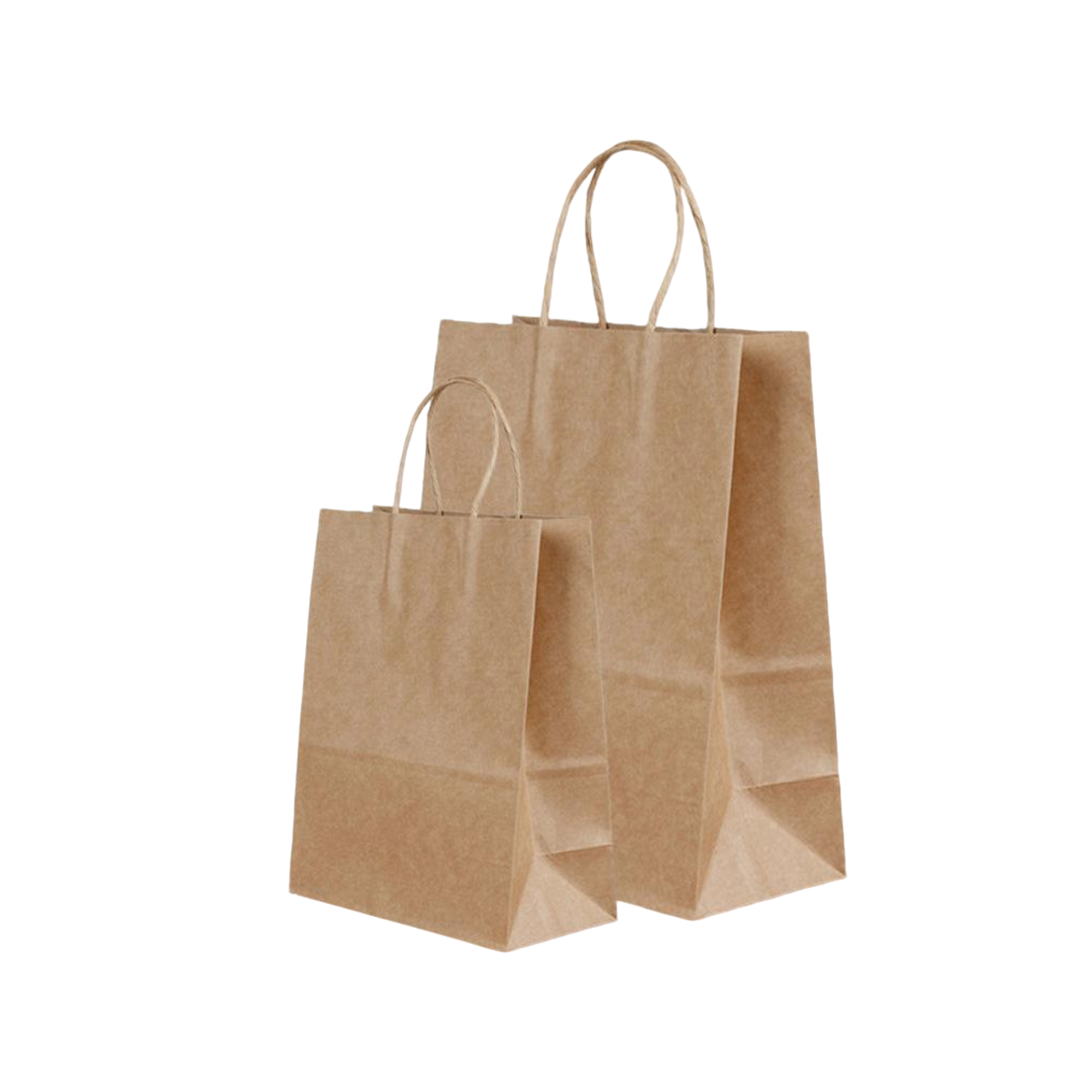 White Kraft Paper Shopper With Twisted Handle 8.3 X 4.4 X 10.7" 6