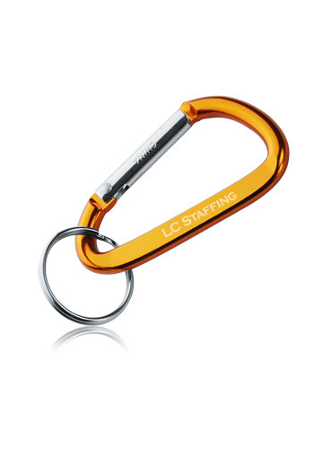Metal Carabiner Keychains 12
