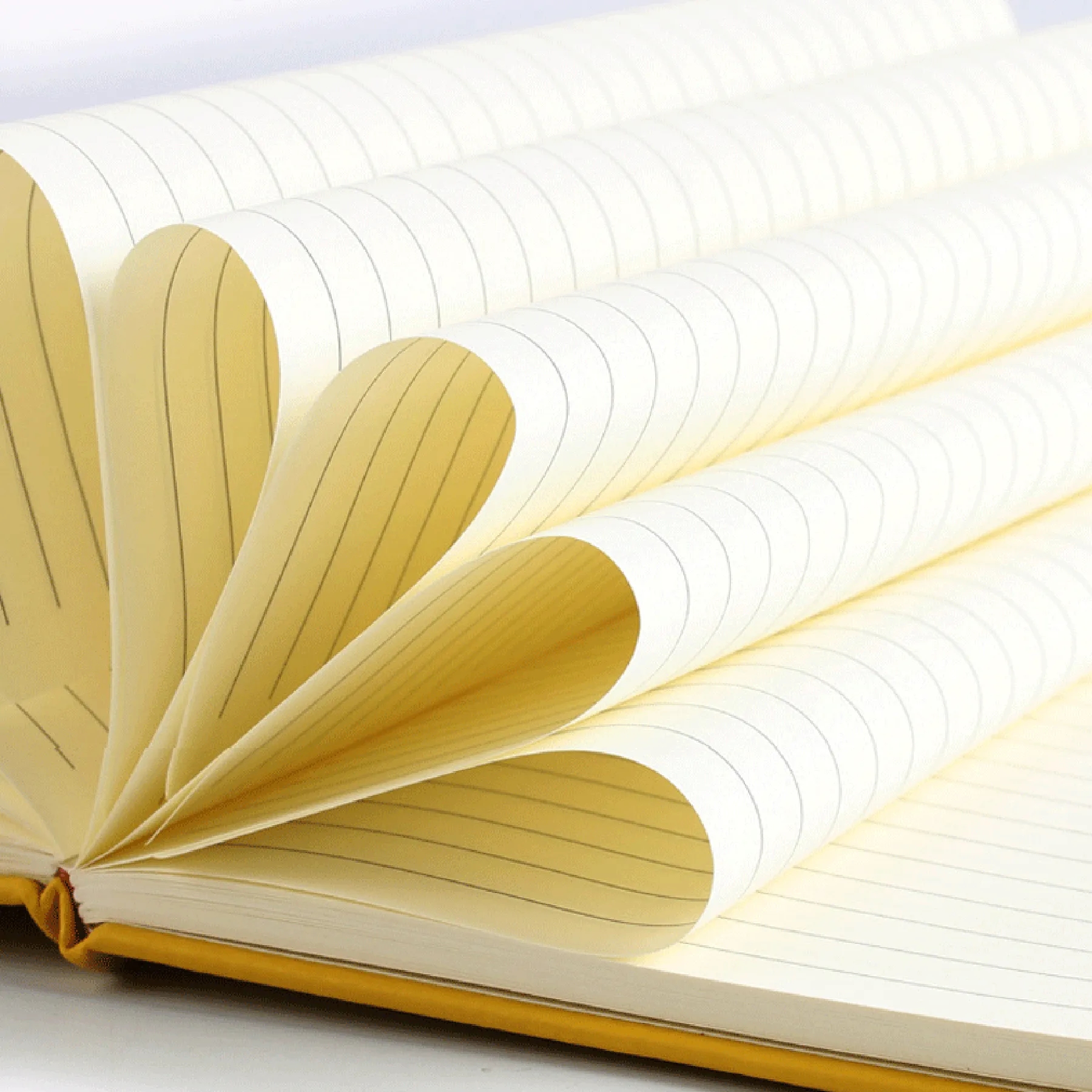 Portable Journal Notebook 2