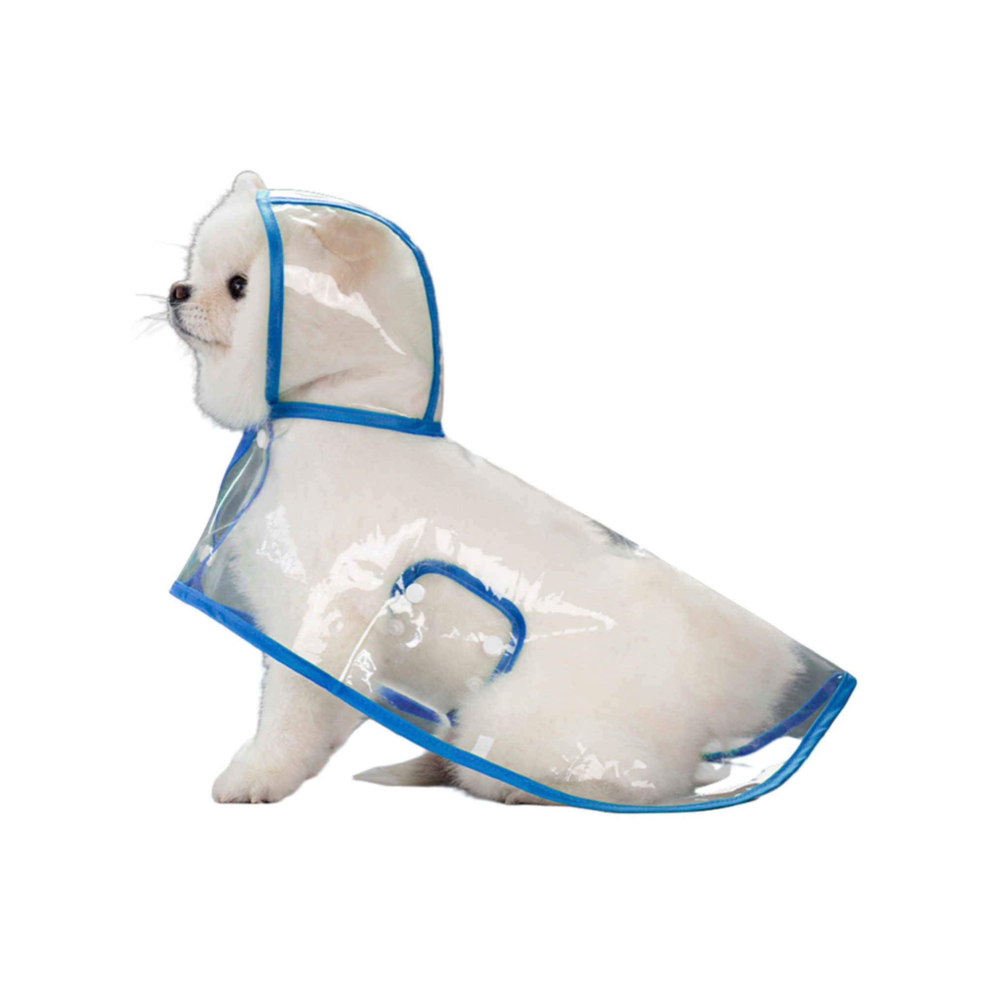 Transparent Pet Raincoat 5