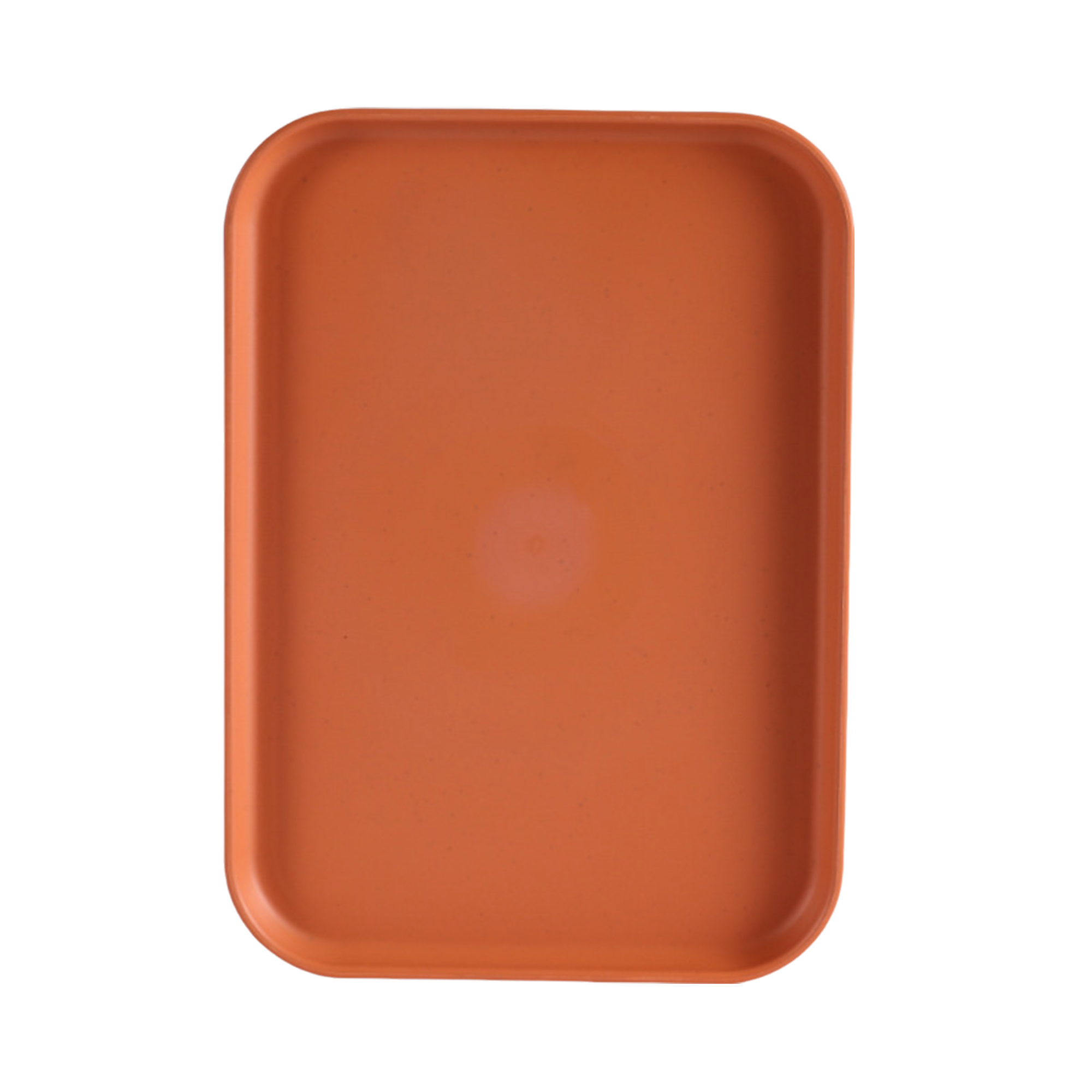 Colorful Fast Food Tray MOQ50 11
