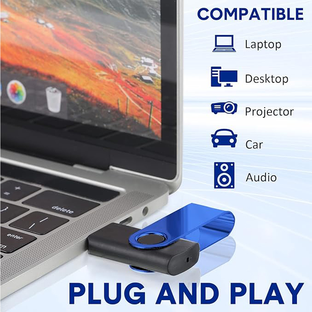 Portable USB Swivel Drive 2