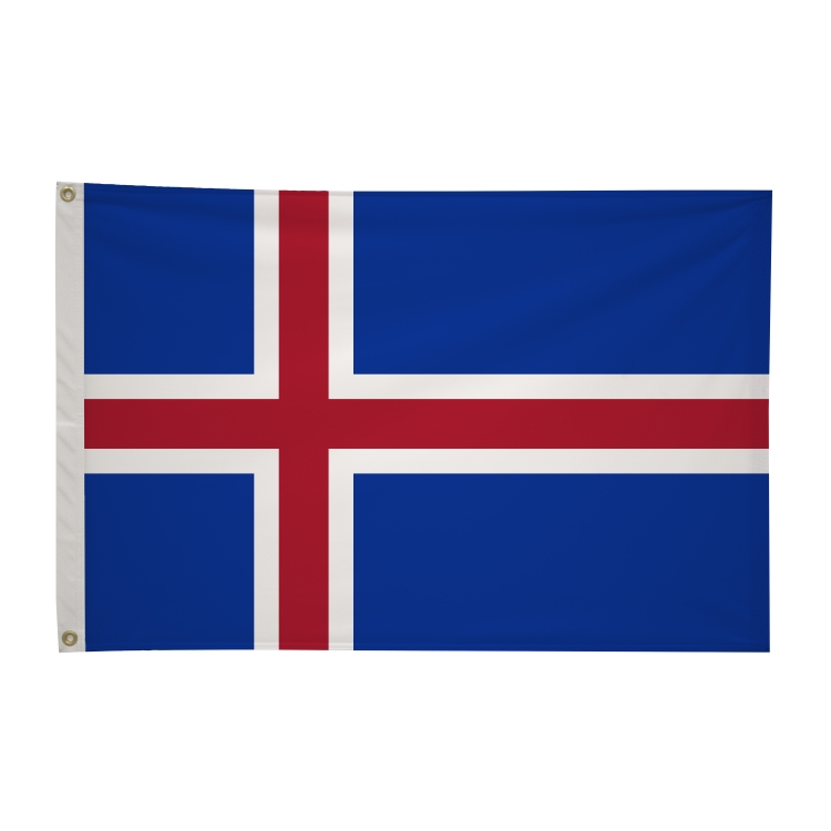 2' x 3'International Flag 292