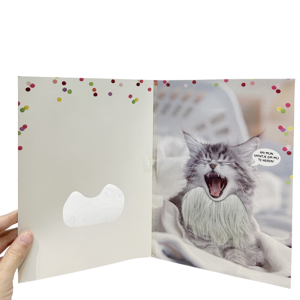 AudioPop Touch Activation Custom Interactive Audio Greeting Card & Direct Mailer - Full Color 4