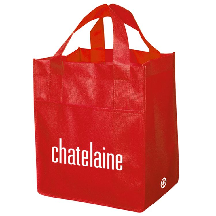 Non Woven Carry All Bag 9