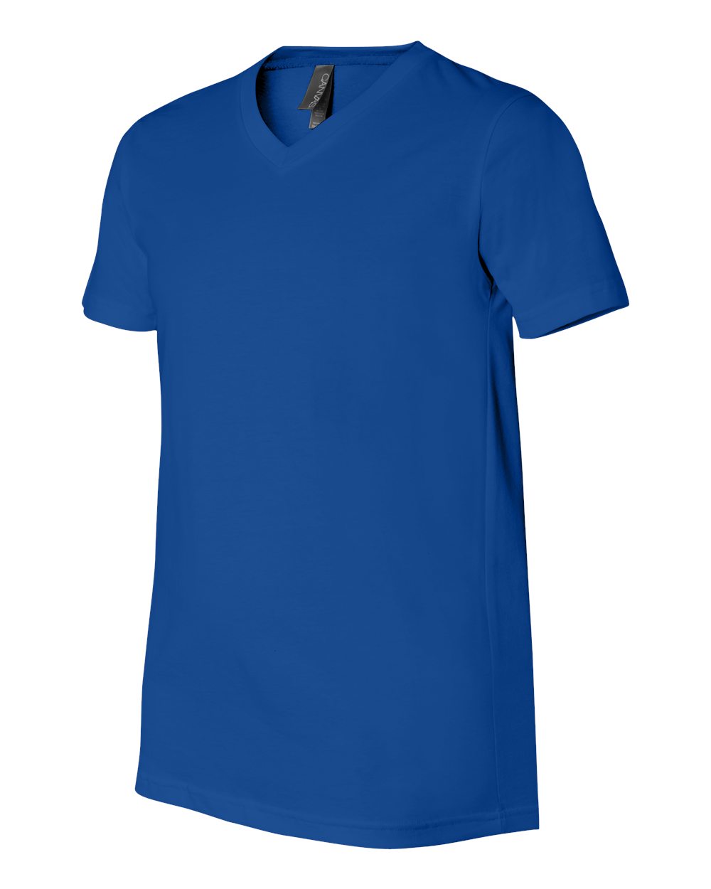 Unisex Jersey V-Neck Tee - 3005 84