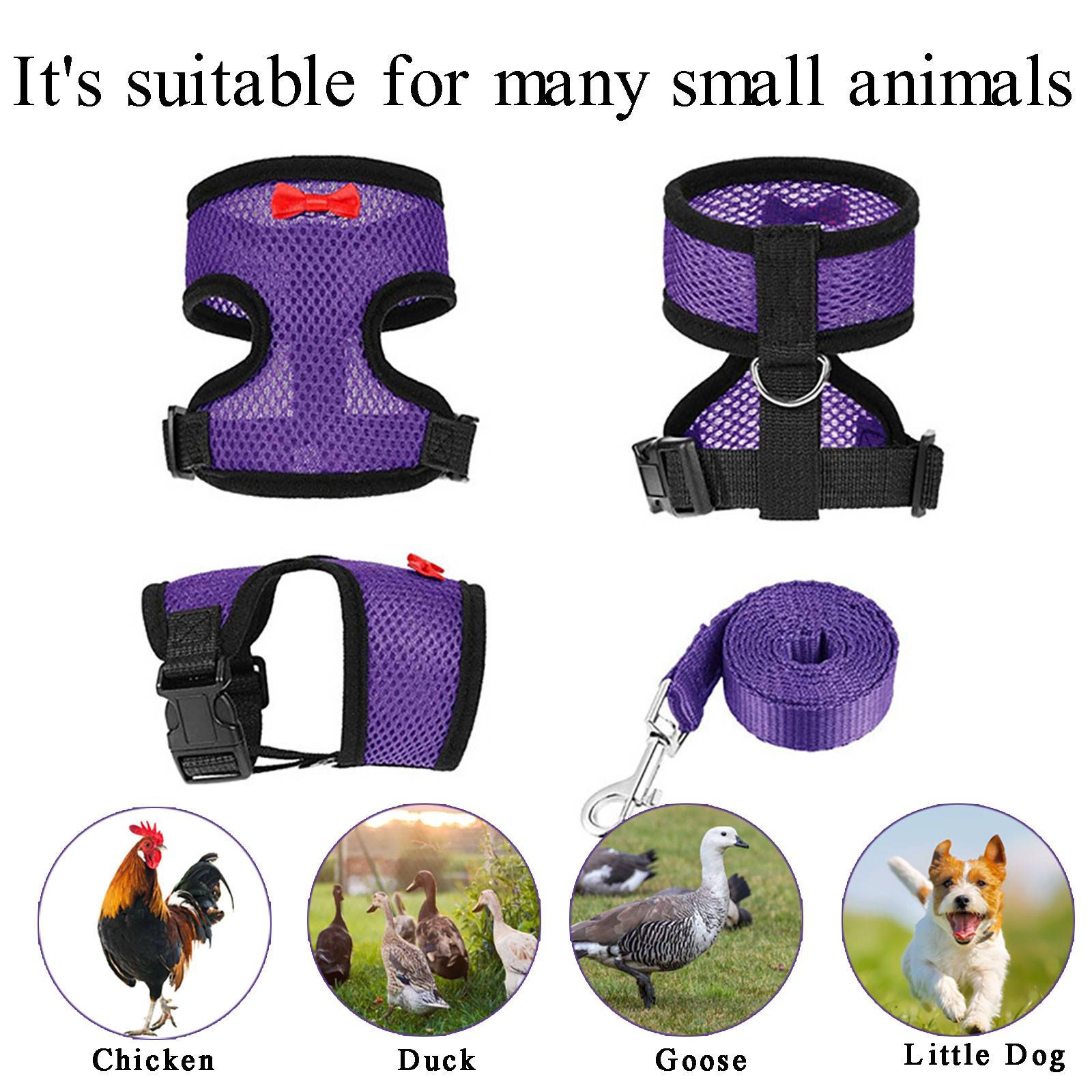 Pet traction strap 4