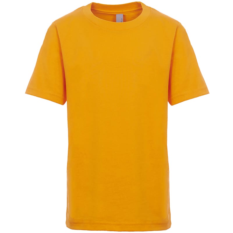Next Level Youth Boys Cotton Crew 11