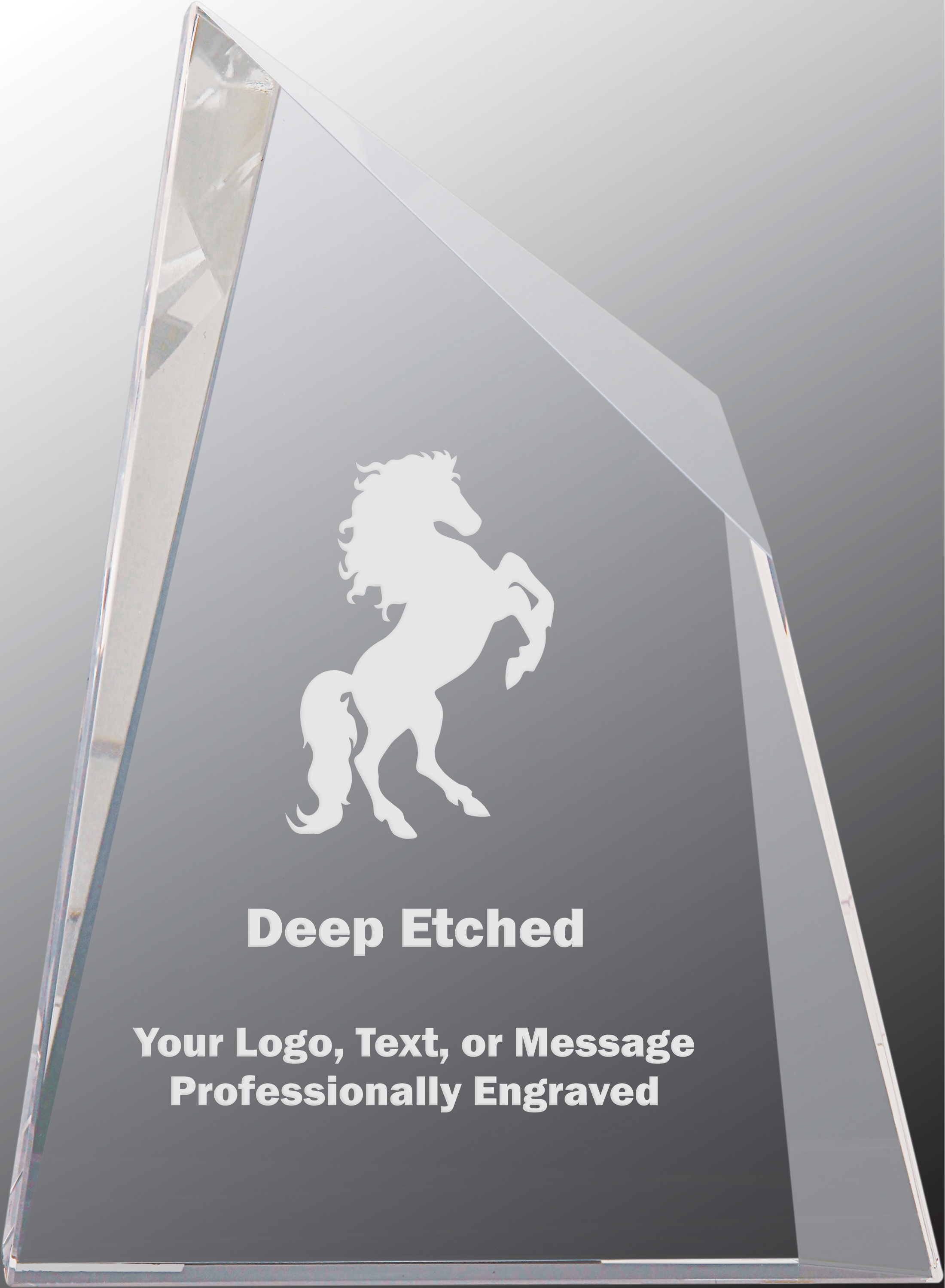 6 1/2" x 8 3/4" Crystal Facet Wedge Award