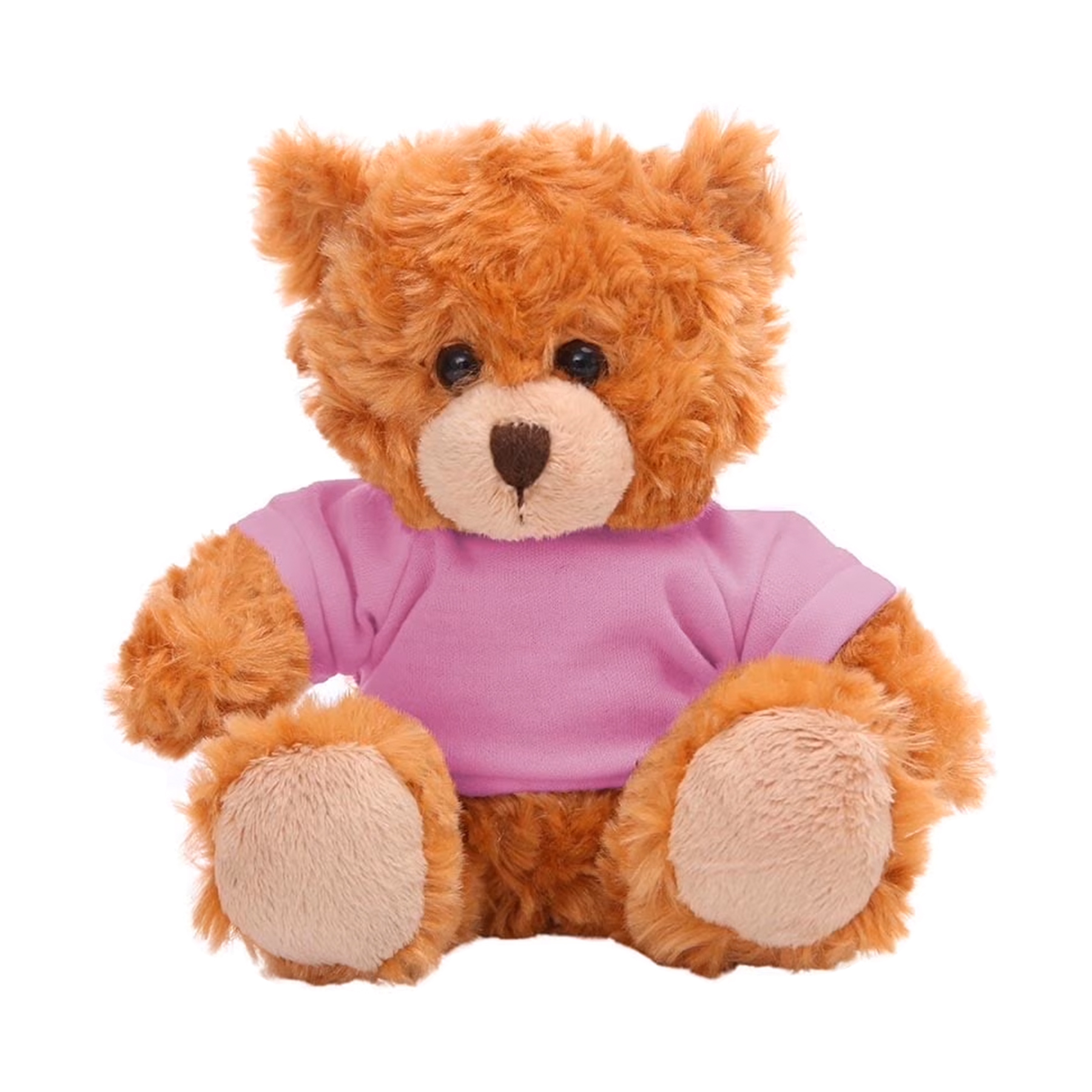 11'' Seated Style Stuffed Plush Teddy Beat With T-shirt 19