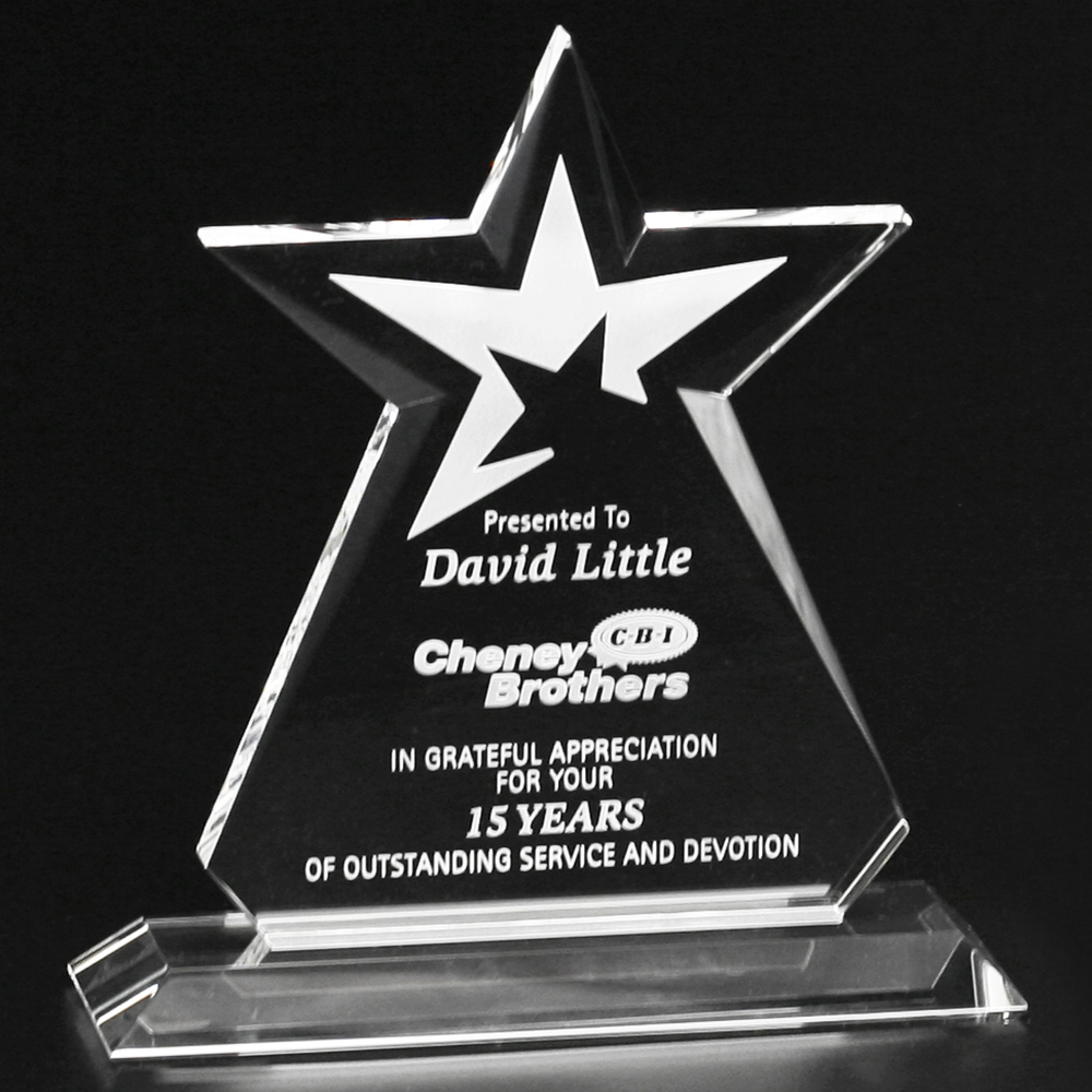 Guardian Award 6