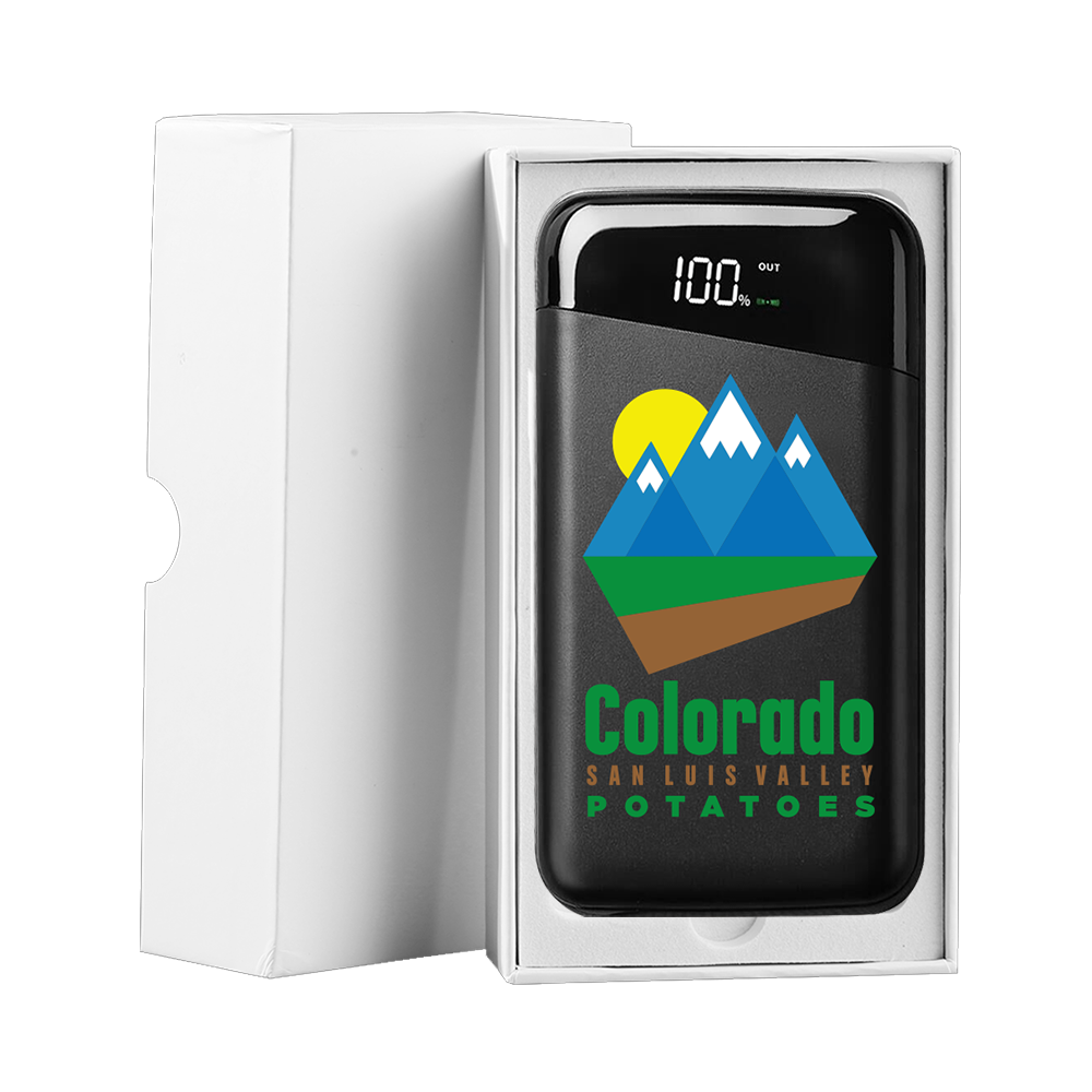Richmond 10,000mAh Wireless Power Bank 3