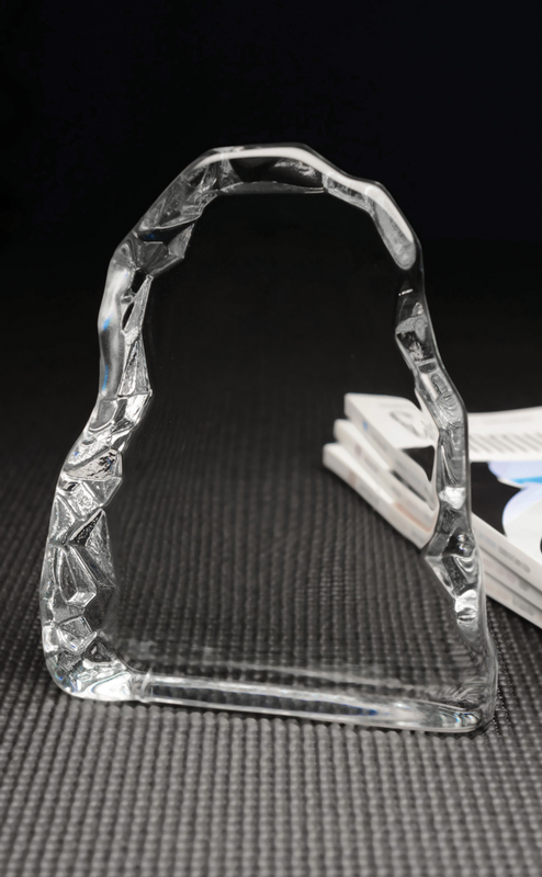 Large Iceburg Award 2