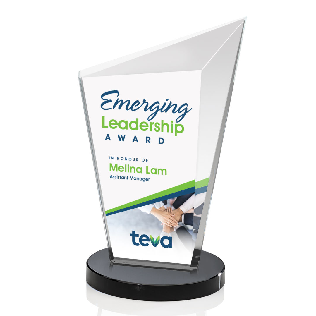Wiltshire VividPrint™ Award - Black 3