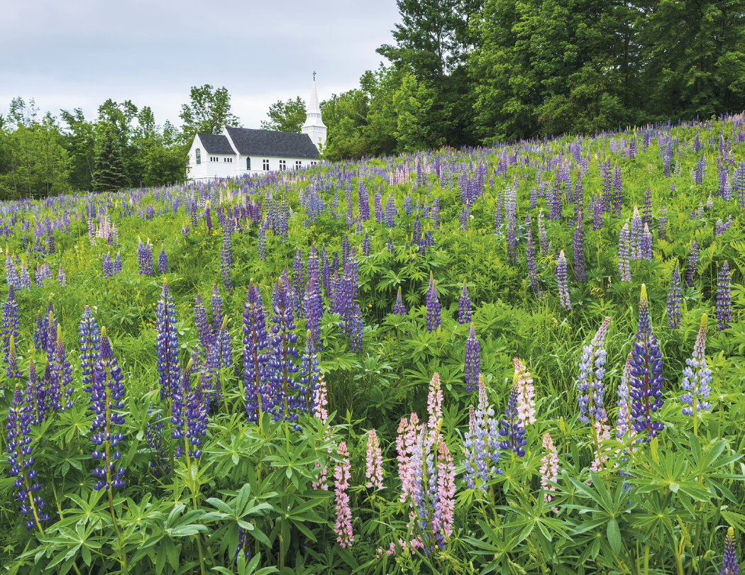 HotLine® Products New England Appointment Calendar - Spiral 27