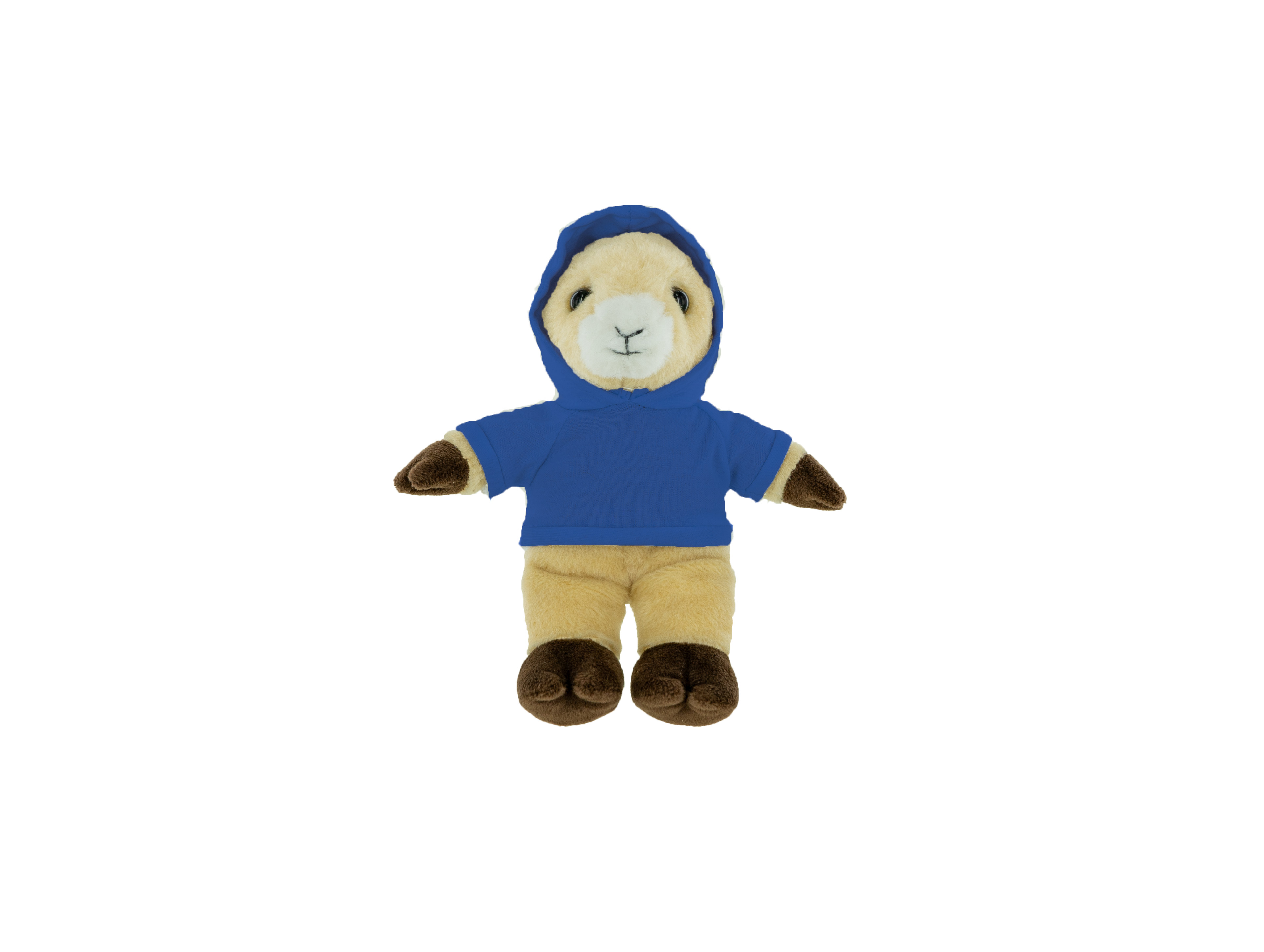 Plush Ram with Hoodie 16