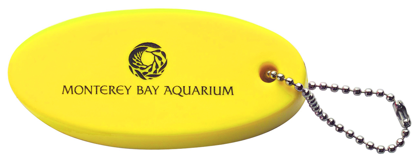 Floater Key Chain