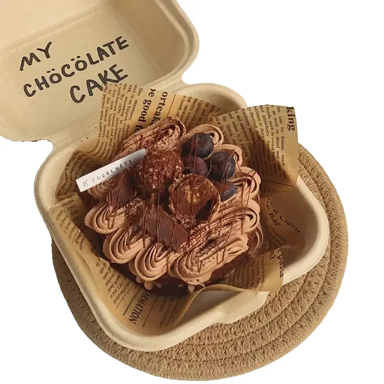 100% Compostable Biodegradable Take Out Container 3